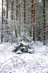 Similar image 1018198