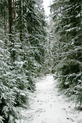 Similar image 1018200