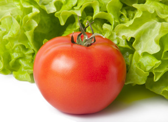 Similar image 1018208