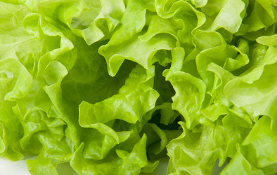 Similar image 1018209