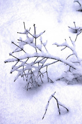 Similar image 1018213