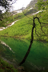 Similar image 1018223