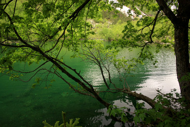 Similar image 1018226