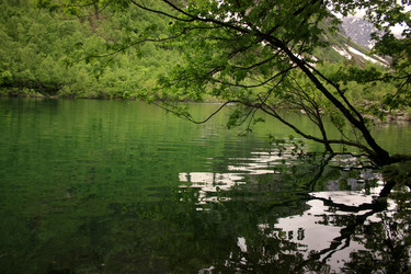 Similar image 1018228