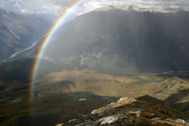 Similar image 1018229