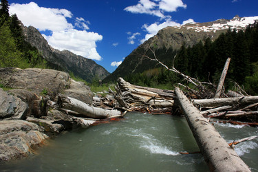 Similar image 1018237