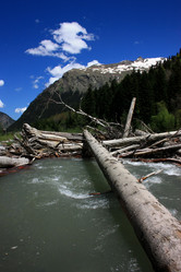 Similar image 1018238