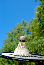 Similar image 1018253