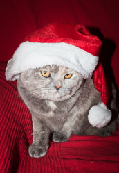 Similar image 1018254