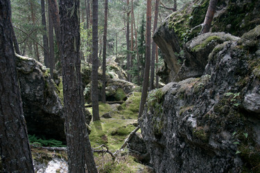 Similar image 1018260