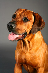 Similar image 1018263