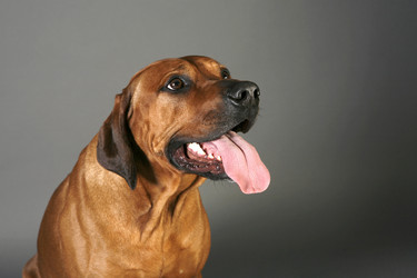 Similar image 1018264