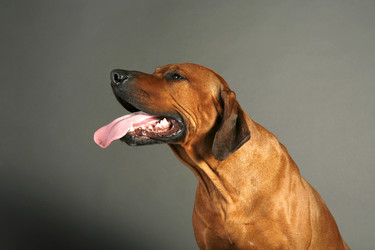 Similar image 1018265