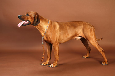 Similar image 1018268