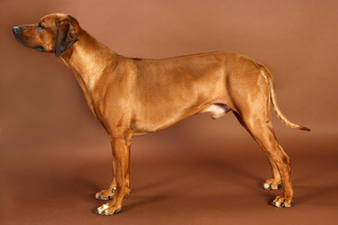 Similar image 1018269