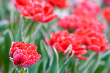 Similar image 1018274