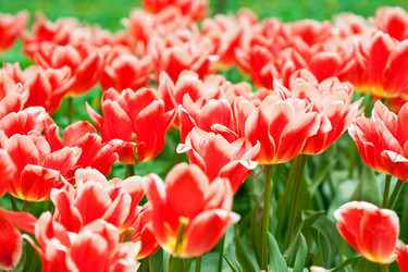 Similar image 1018282