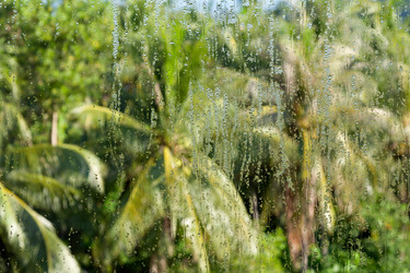 Similar image 1018285