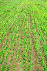 Similar image 1018289