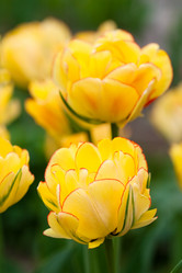 Similar image 1018290