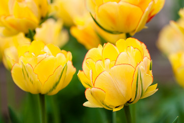 Similar image 1018294