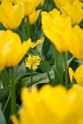 Similar image 1018296