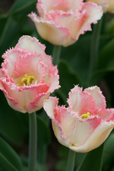 Similar image 1018310