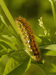 Similar image 1018323