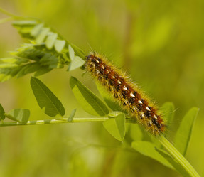 Similar image 1018324