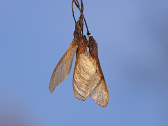 Similar image 1018334