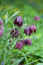 Similar image 1018337