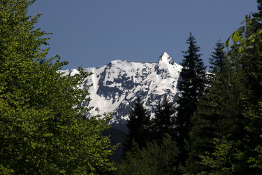 Similar image 1018350