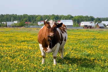 Similar image 1018365