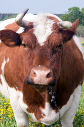 Similar image 1018366