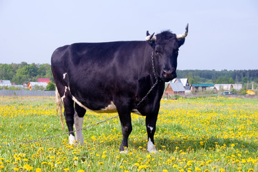 Similar image 1018368