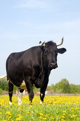 Similar image 1018369