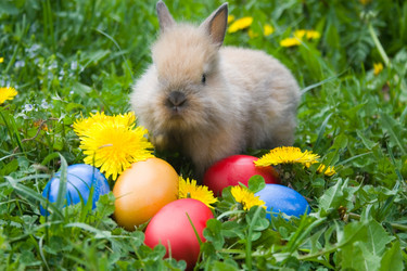 Similar image 1018377