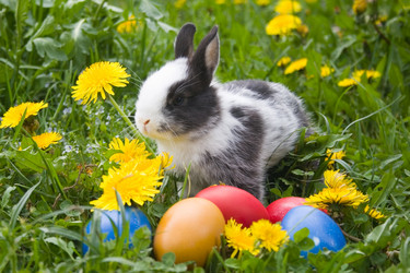 Similar image 1018378