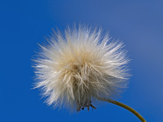 Similar image 1018387