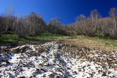 Similar image 1018409