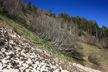 Similar image 1018410