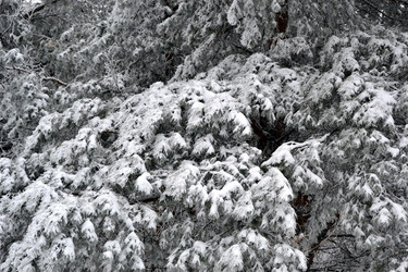 Similar image 1018411