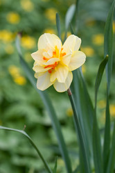 Similar image 1018415