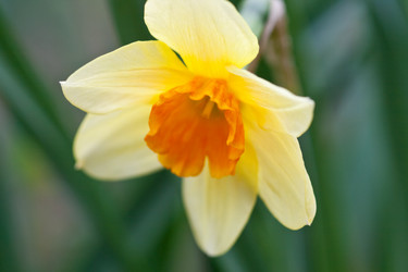 Similar image 1018417