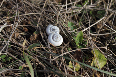 Similar image 1018421