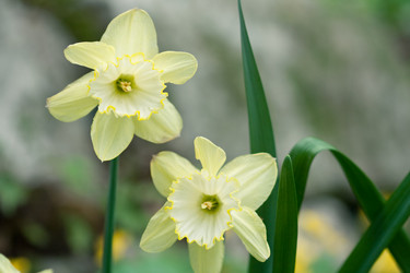 Similar image 1018422