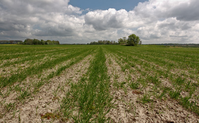 Similar image 1018428