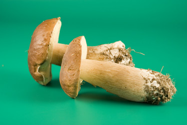 Similar image 1018436