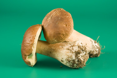 Similar image 1018437