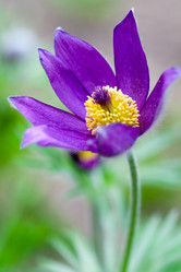 Similar image 1018453